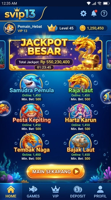 Informasi detail mengenai aplikasi termasuk versi dan ukuran di svip13.
